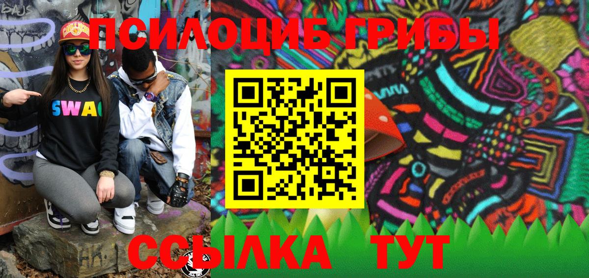 Сальск  Псилоцибиновые грибы MAGIC MUSHROOMS  Вход с VPN 