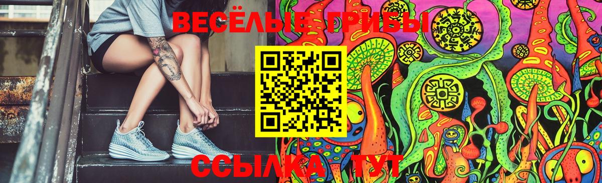 Галлюциногенные грибы MAGIC MUSHROOMS Сальск